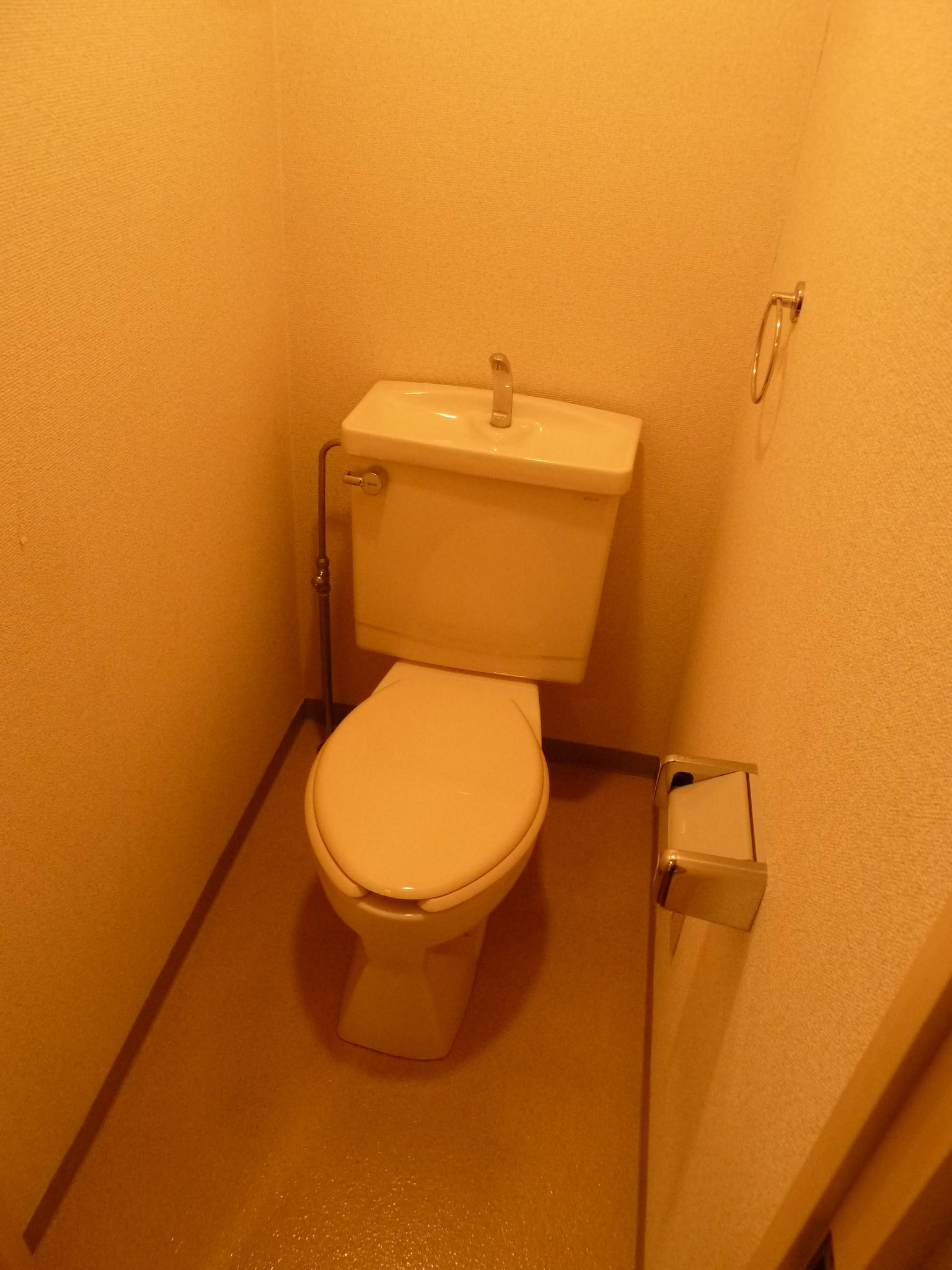 Toilet. Toilet