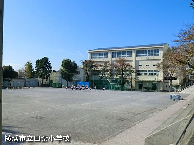 Primary school. Tana 800m up to elementary school