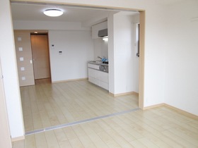 Living and room. With lighting in each room, Flooring 1LDK! Floor plan is the same room