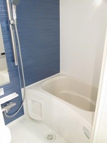 Bath. Blue is Reheating bathroom with a feature of the interior of