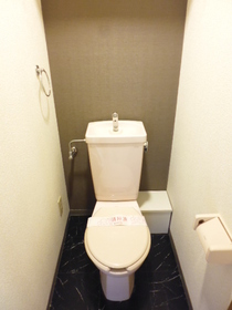 Toilet. If you could have toilet seat you with cleaning function can be installed.