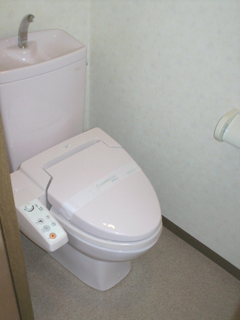 Toilet. Bidet