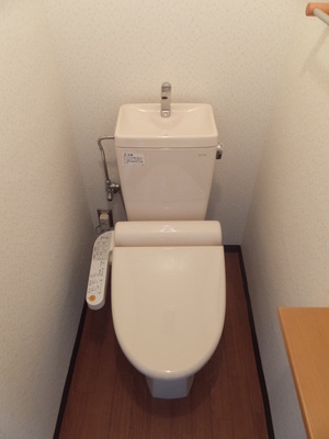 Toilet. Toilet with cleanliness