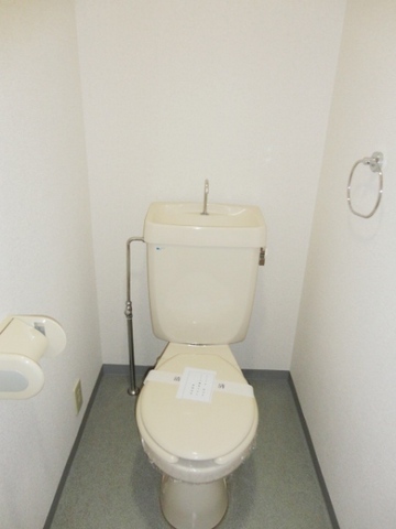 Toilet. It is a Western-style toilet with cleanliness