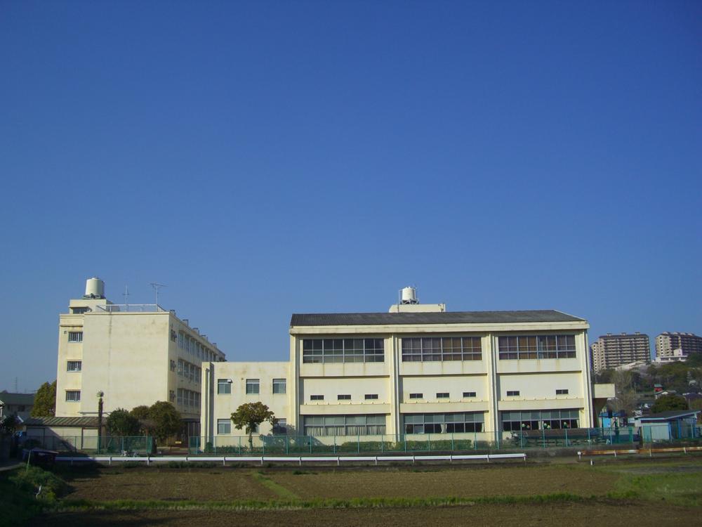 Primary school. Eda 800m up to elementary school