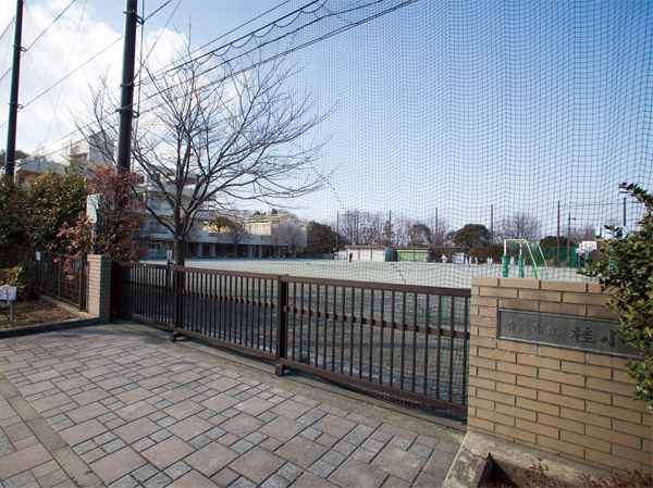 Surrounding environment. Yokohama Municipal Katsura Elementary School (about 550m ・ 7-minute walk)