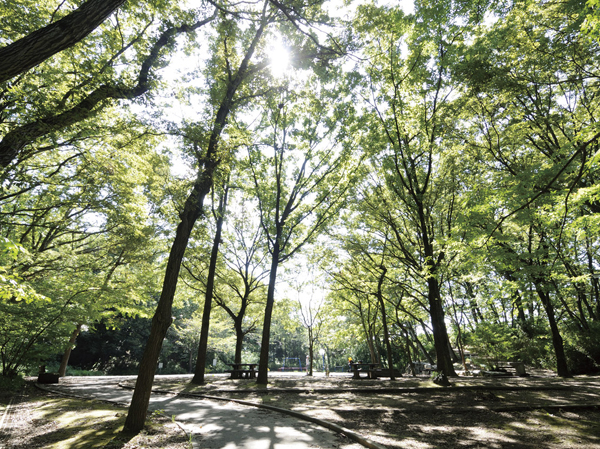 Surrounding environment. Sakuradai park (about 320m ・ 4-minute walk)