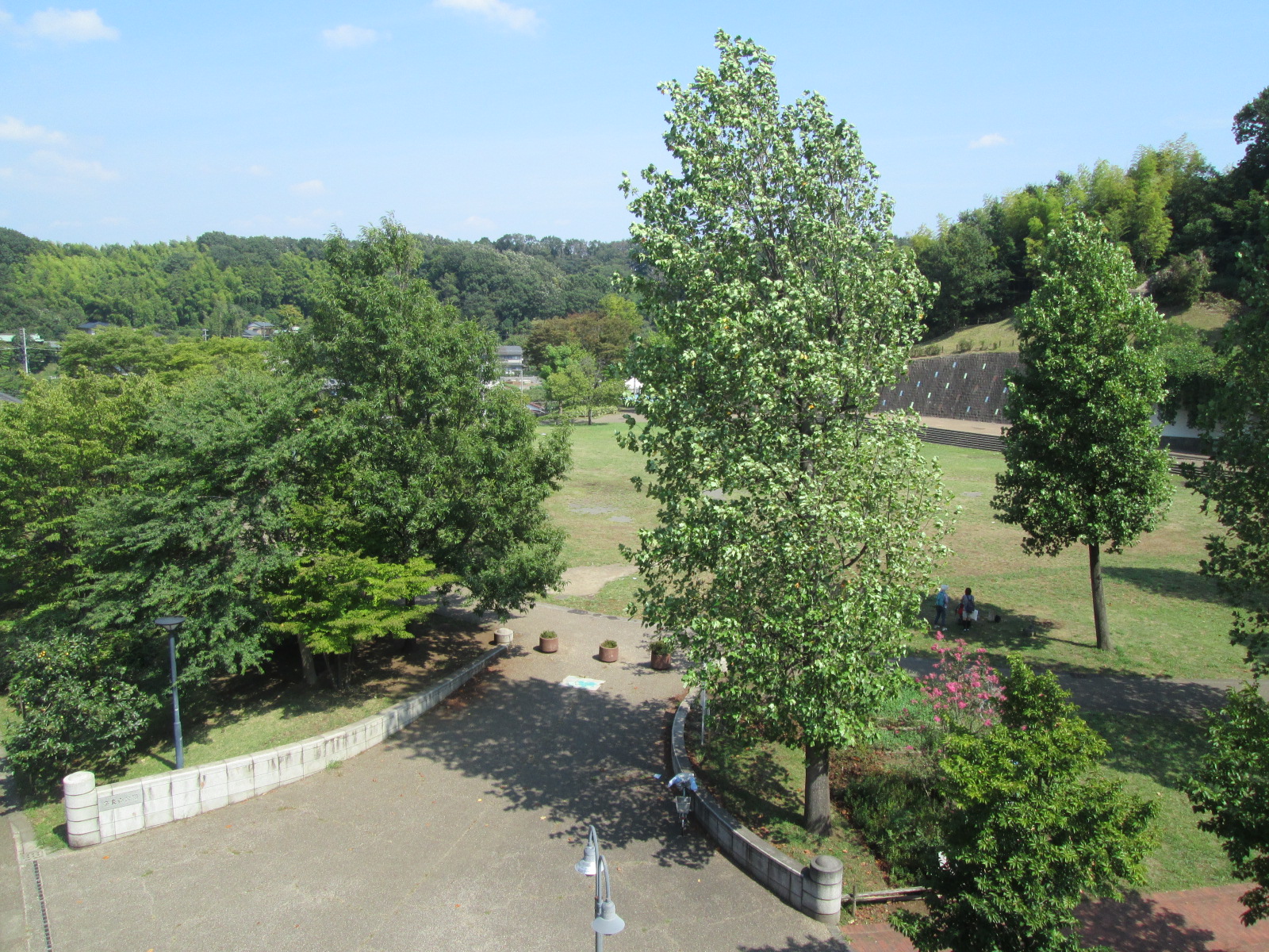 park. 400m until the Nara Mountain Park (park)