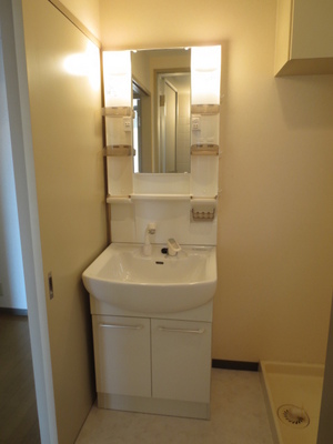 Washroom. Wash basin with shampoo dresser