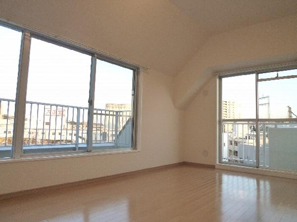 Other introspection. Western style room