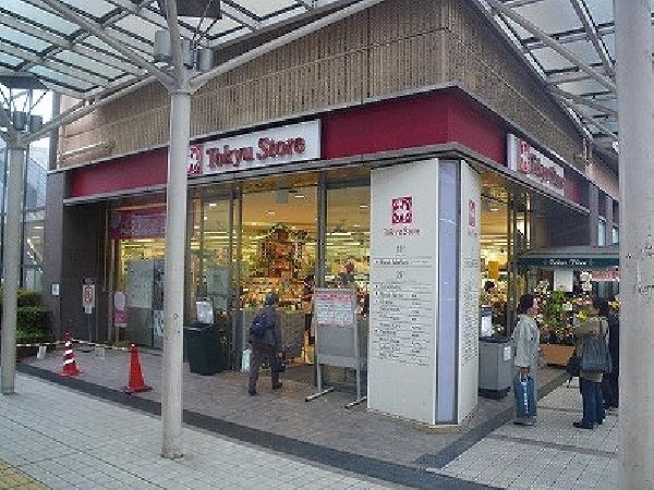 Supermarket. 80m Tokyu Store Chain to Tokyu Store Chain