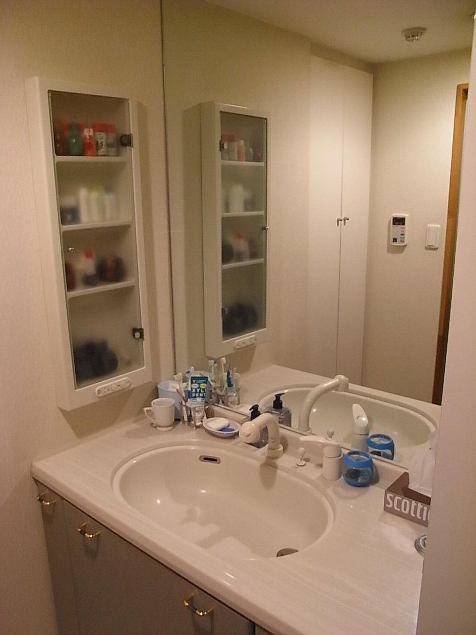 Wash basin, toilet. Wash basin