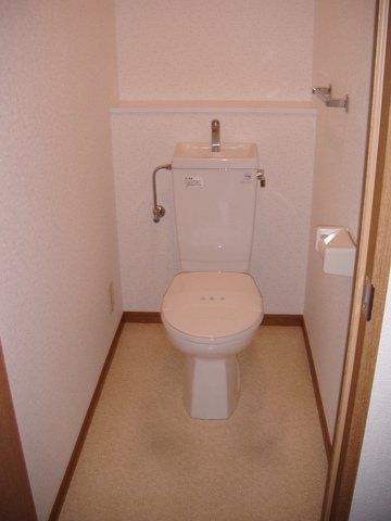 Toilet. Western-style toilet with cleanliness