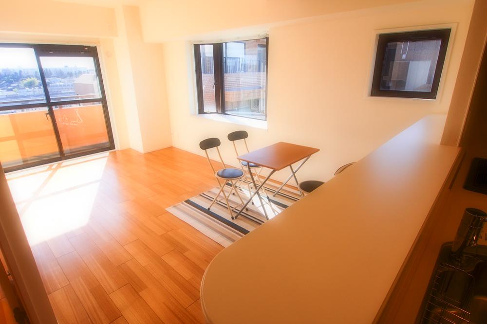 Living. Indoor (12 May 2013) Shooting