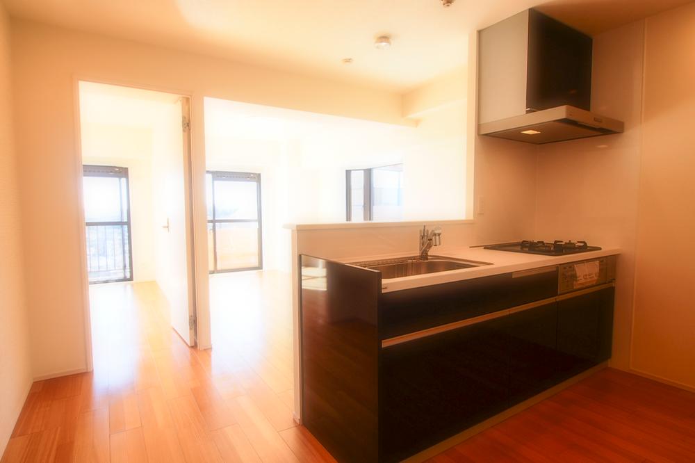 Kitchen. Indoor (12 May 2013) Shooting