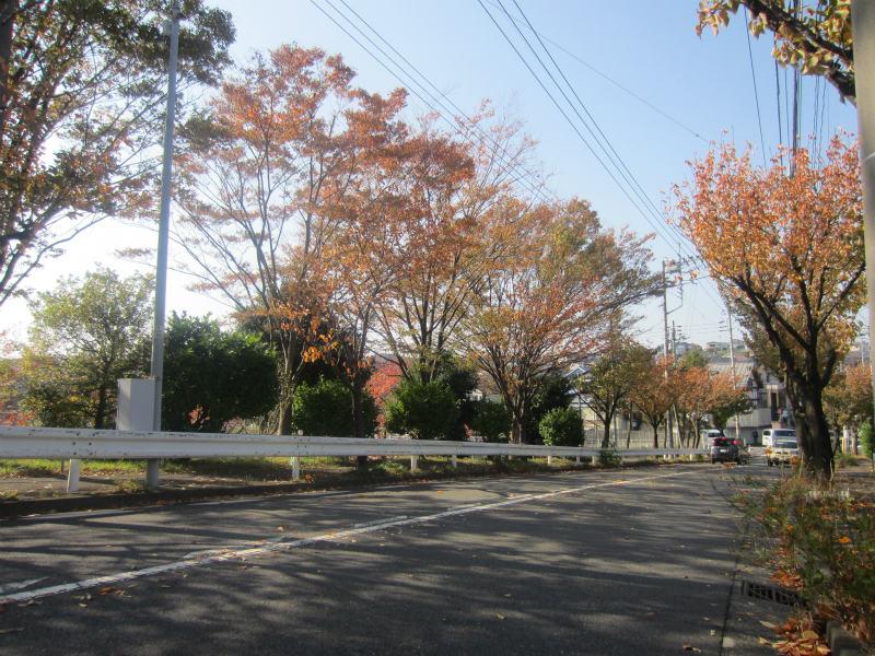 Other. Streets in the vicinity (about 100M from local)