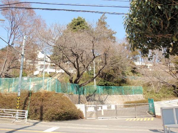 Primary school. Tanimoto 800m up to elementary school