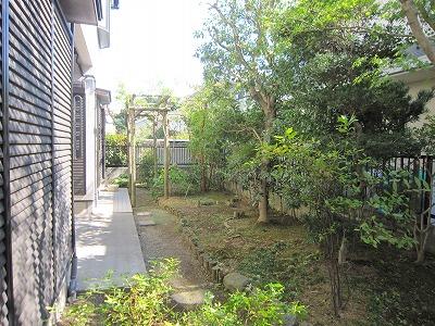 Garden. Bright garden plugging sunlight. 