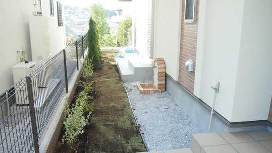 Other local. Local Photos