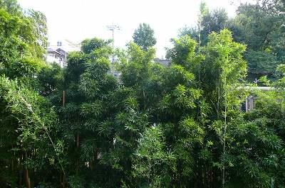 View photos from the dwelling unit. View from the dwelling unit