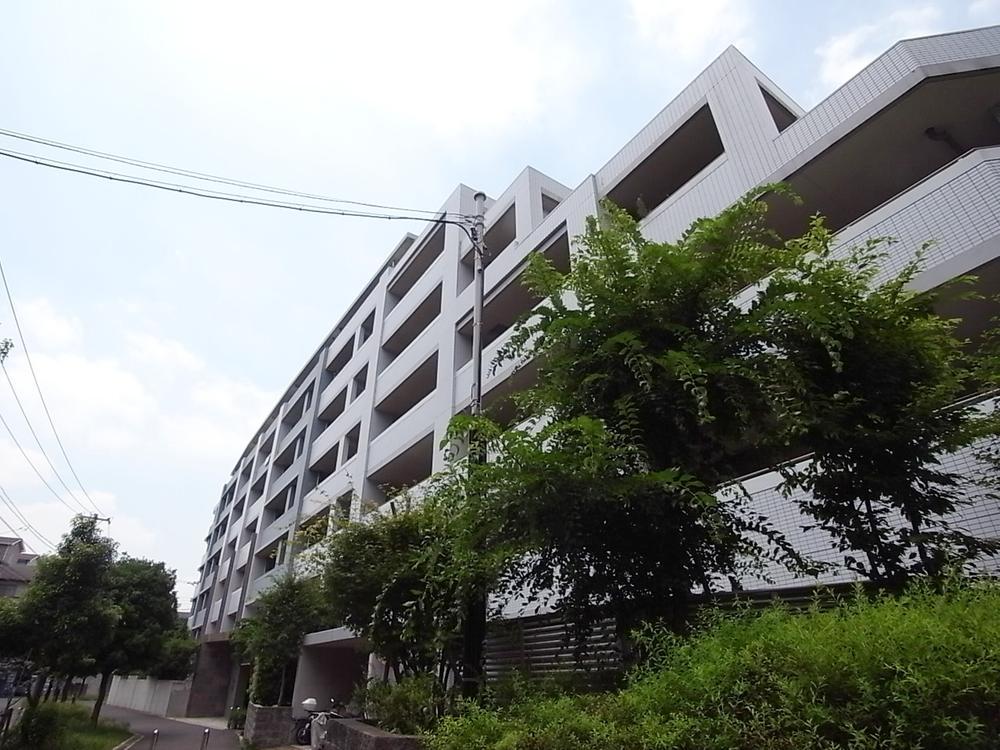 Local appearance photo. Local (August 2013) Shooting