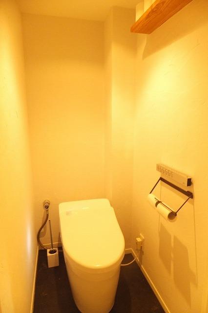 Toilet. Indoor (September 2012) shooting