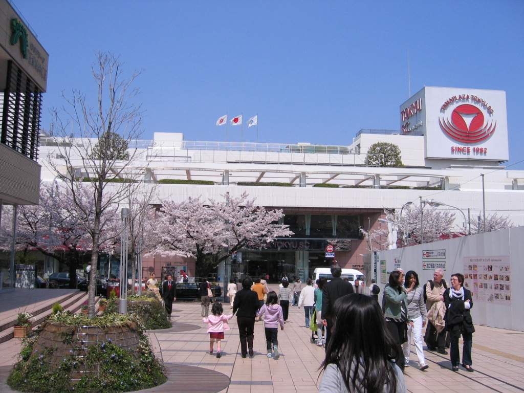 Supermarket. Tama 460m until the plaza terrace Tokyu Store Chain (super)