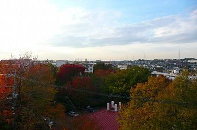 View photos from the dwelling unit. Northwest side view