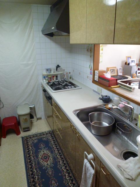 Kitchen. Indoor (12 May 2013) Shooting