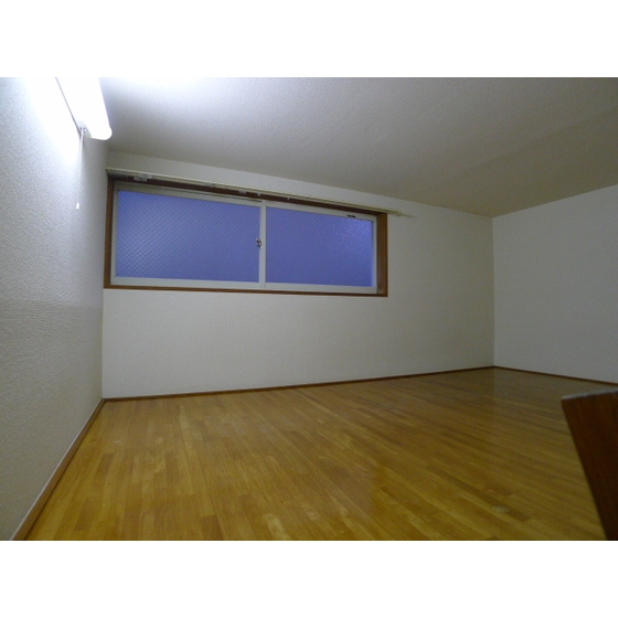 Other room space. Yes Loft! Also in the bedroom for storage.