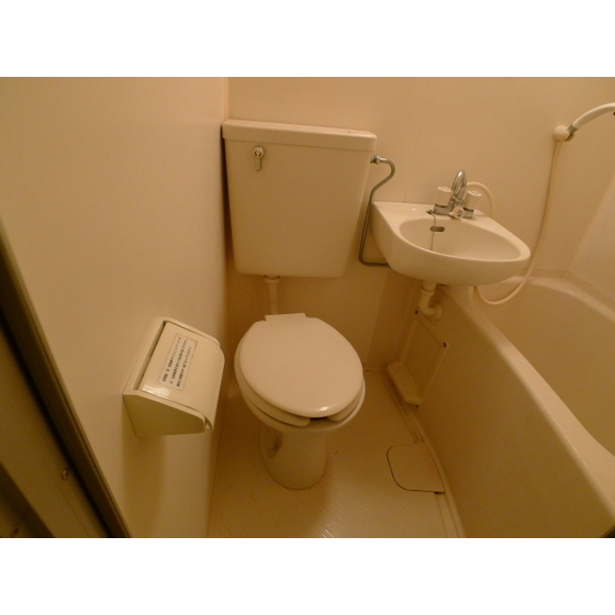 Toilet. Toilet clean impression.