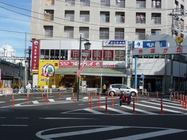 Other. Tsurukame land