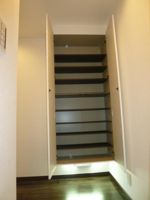 Entrance. Shoes closet can storage of large capacity because there until the ceiling near