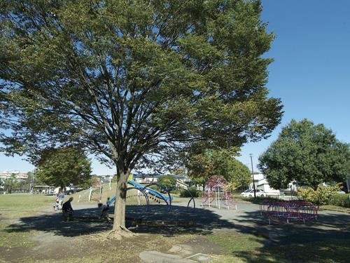 Other. "Kunugitani park" from the local 5-minute walk. There is a playground equipment, such as the spacious park slide, Echoing the children of laughter. There is also a lawn of the hills and large trees, Holiday is a good place of feeling you want to visit in a picnic mood.