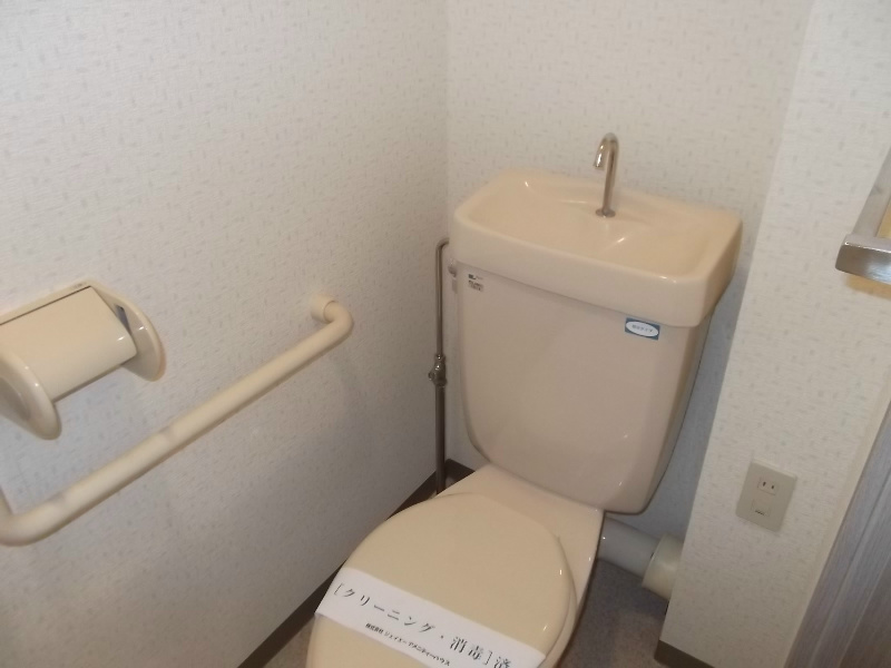 Toilet. Toilet