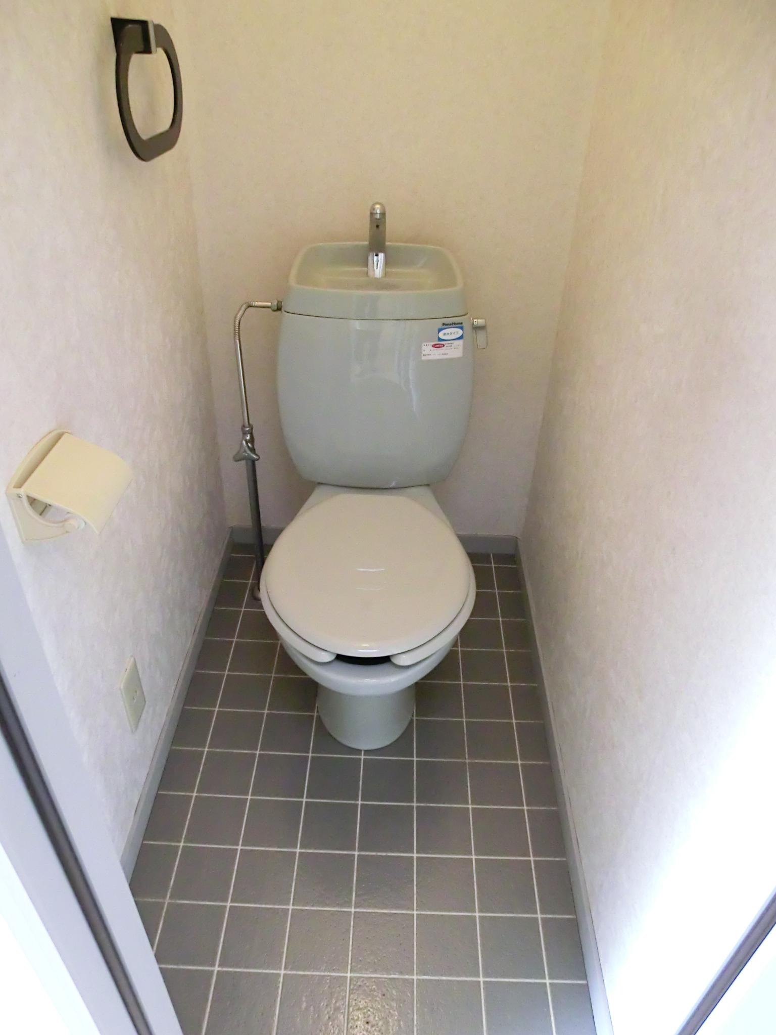 Toilet