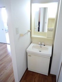 Washroom. Stand-alone is a washbasin.