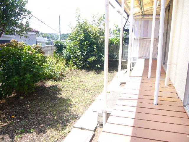 Garden. Garden from the veranda