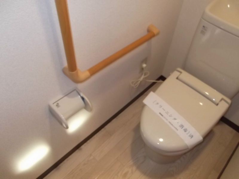 Toilet. Toilet