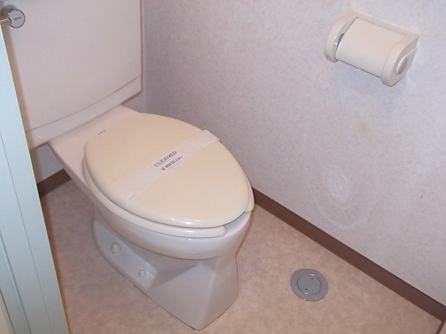 Toilet. Toilet