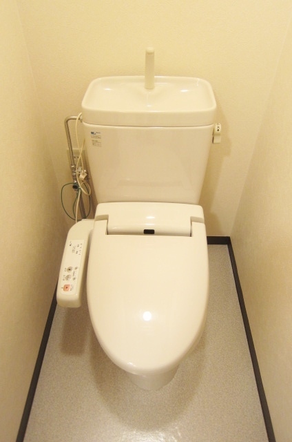 Toilet. Toilet