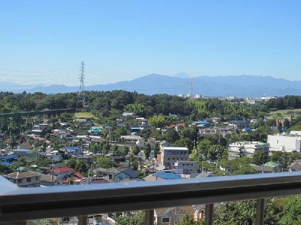 Other. View from the room, You will see Mount Fuji.