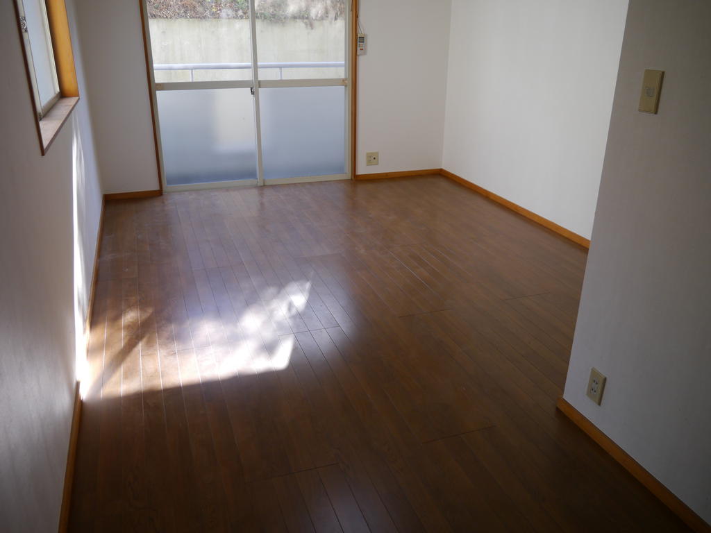 Living and room. All Flooring (201 reference photos)