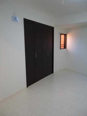 Non-living room. Closet (hallway surface)