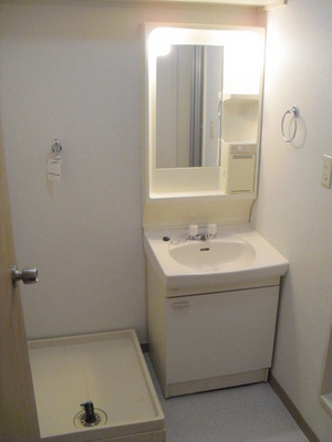 Washroom. Convenient independent vanity and washing machine inside the room