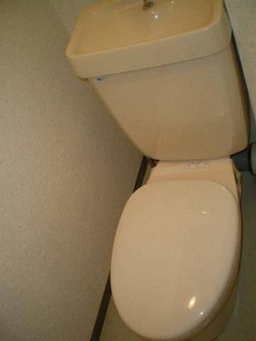 Toilet. Toilet in the shooting