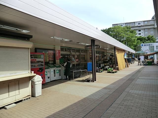 Supermarket. 1270m to Sotetsu Rosen Sakon'yama shop