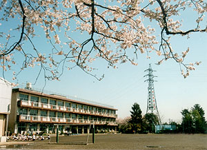 Primary school. 508m to Yokohama Municipal Tsuruke Mine Elementary School (elementary school)