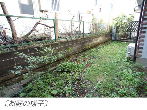 Garden. Local (10 May 2013) Shooting