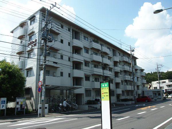 Local appearance photo. Local (September 2013) Shooting